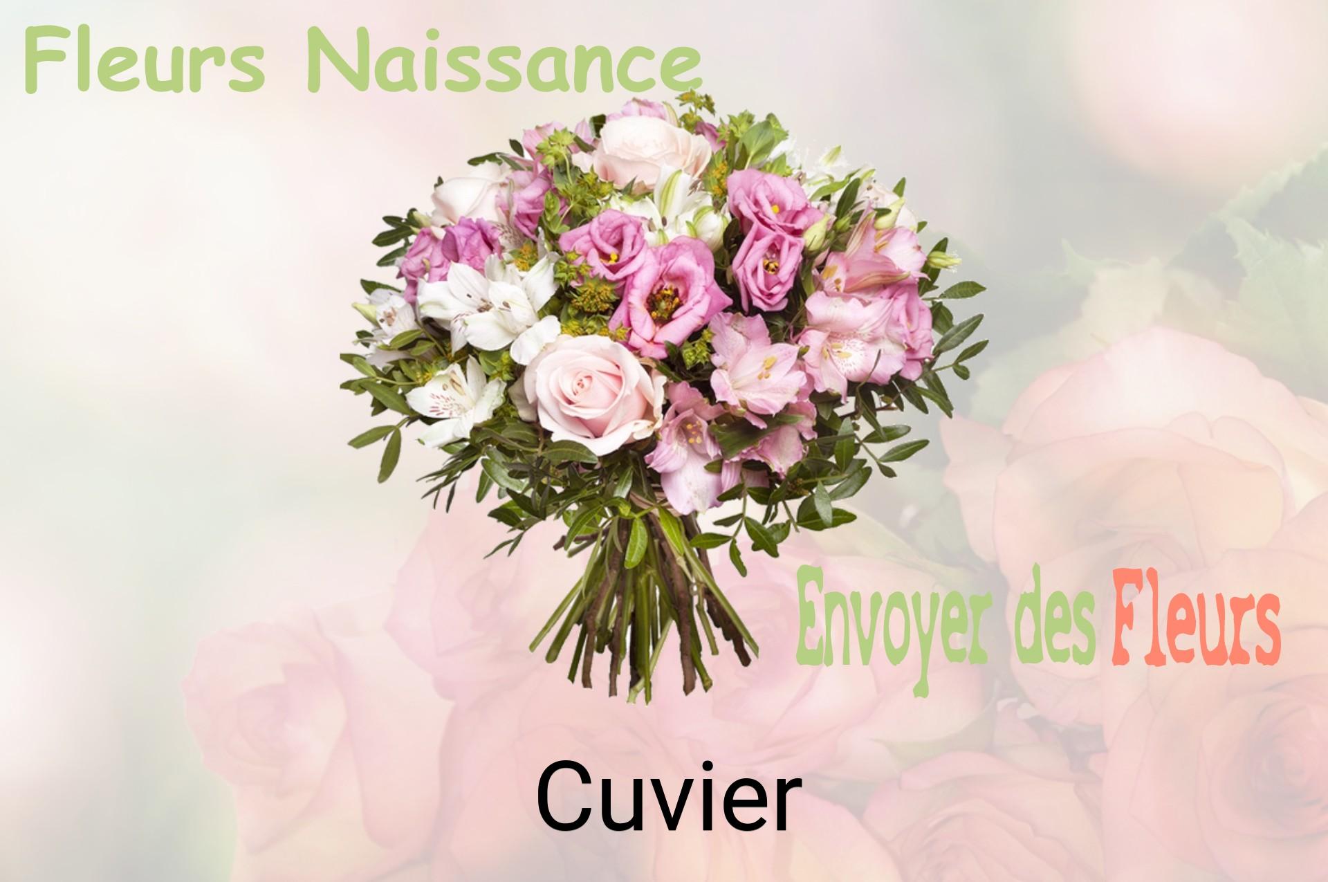 Bouquet de fleurs de naissance livré à Cuvier