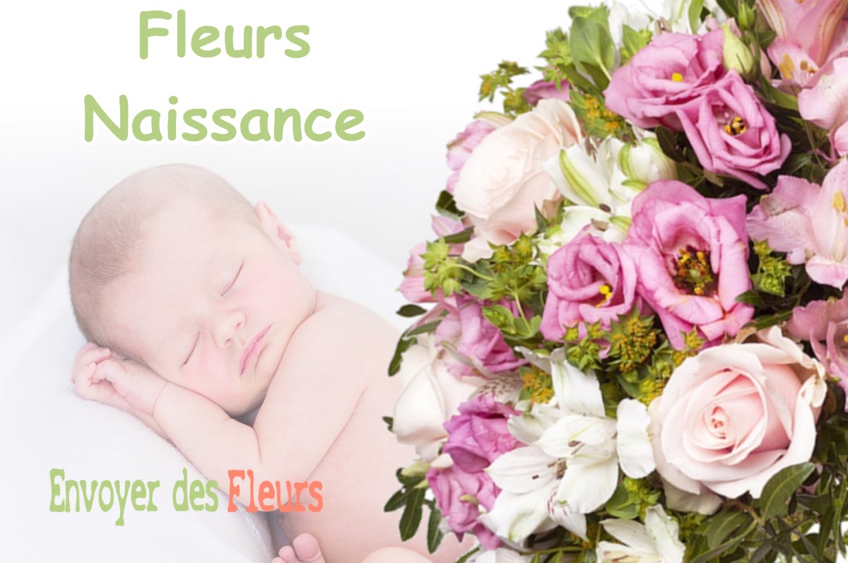 lIVRAISON FLEURS NAISSANCE à CUVIER